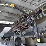 LyonMuseum_0052 (March 26, 2011)